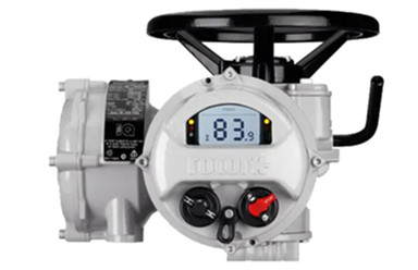 原裝羅托克電動執行器