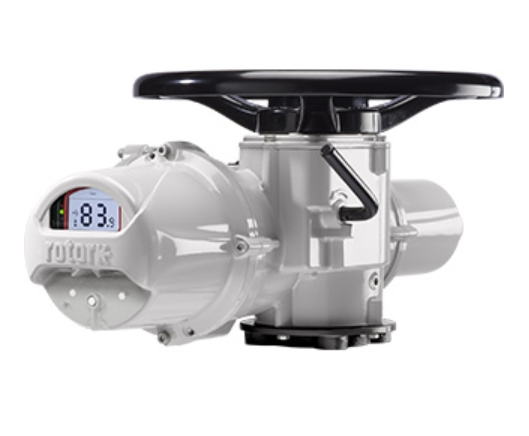 原裝進口IQ3羅托克IQ70智能型電動執行器電動閥門裝置