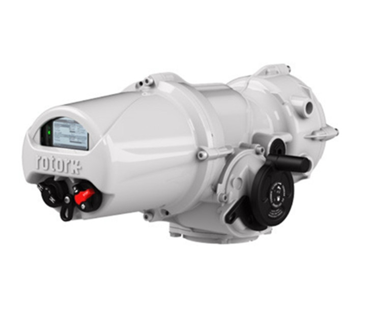 羅托克電動執行器的結構形式