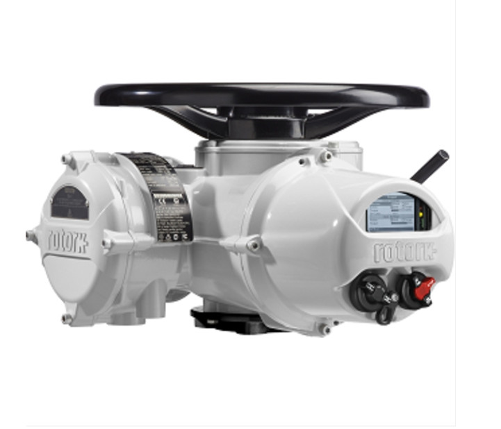 羅托克電動執行器的閥桿沒有反應怎么辦