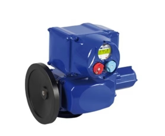 伯納德電動執行器主板的特點